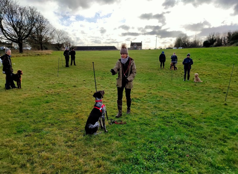 YES! Dog Behaviour Training Gloucestershire, Oxfordshire & Wiltshire