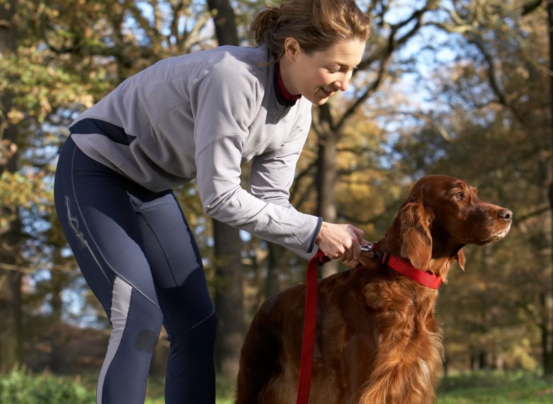 YES! Dog Behaviour Training Gloucestershire, Oxfordshire & Wiltshire