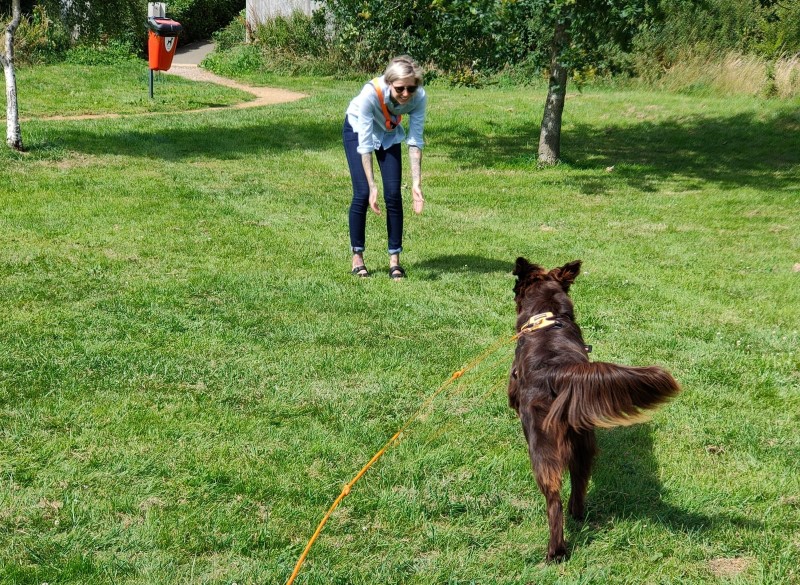 YES! Dog Behaviour Training Gloucestershire, Oxfordshire & Wiltshire